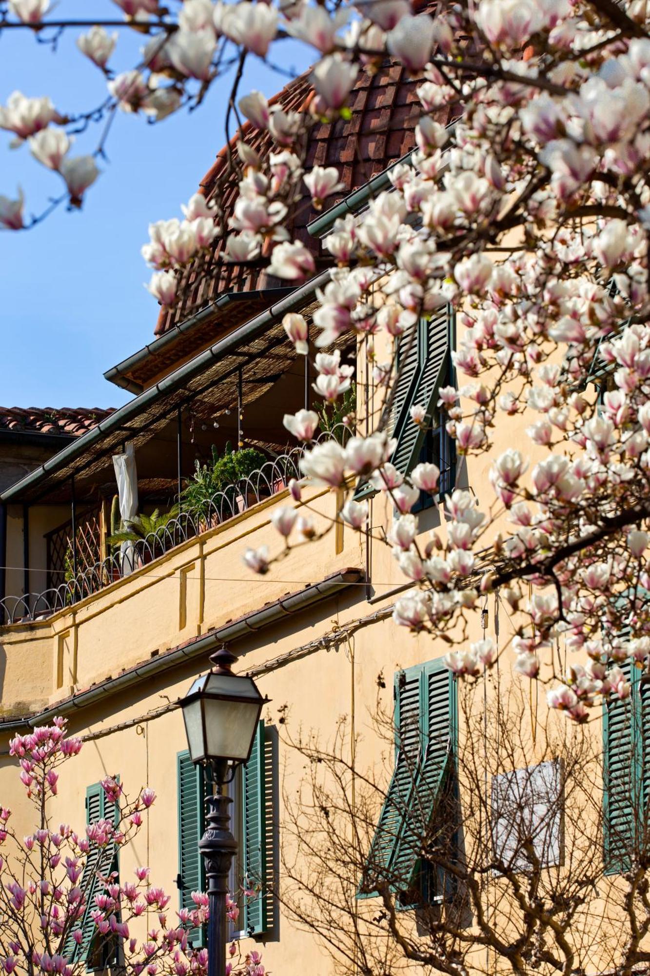 Casa San Girolamo Historic Flat With Cosy Terrace In Lucca'S City Centre Bagian luar foto